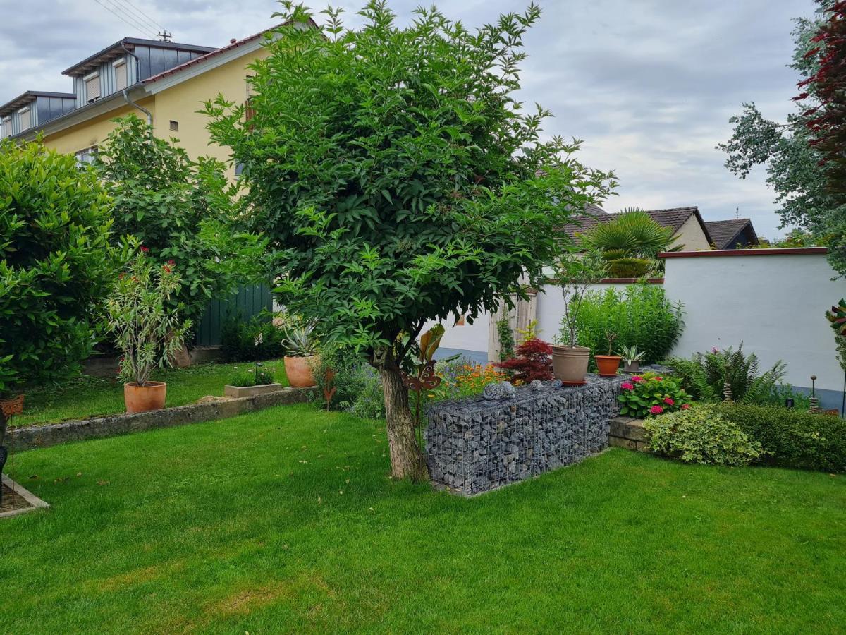 Appartement Haus Schneider à Kappel-Grafenhausen Extérieur photo